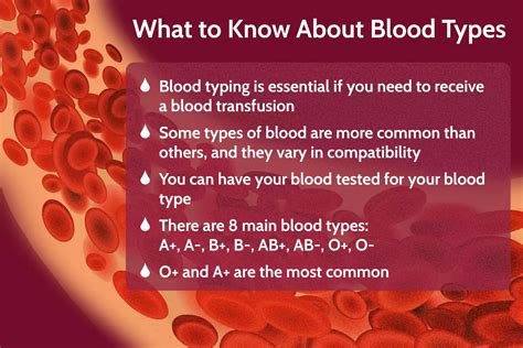 Benefits of Knowing Your Blood Type