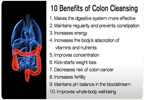 Benefits of a Natural Colon Cleanse