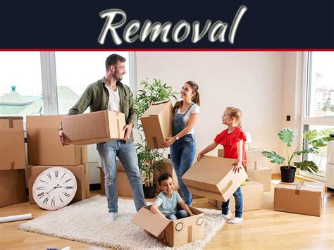 Benefits of Professional Removal