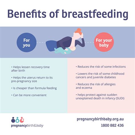 Bentyl Pregnancy And Breastfeeding
