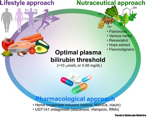 Bilirubin Test Benefits
