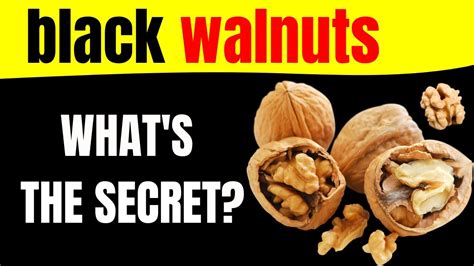 Black Walnut and Cancer Prevention