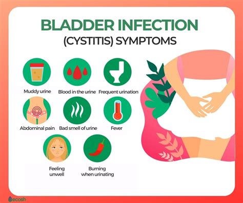 Bladder Infection Signs