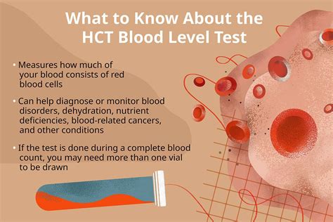 Blood Analysis Hct Levels Explained