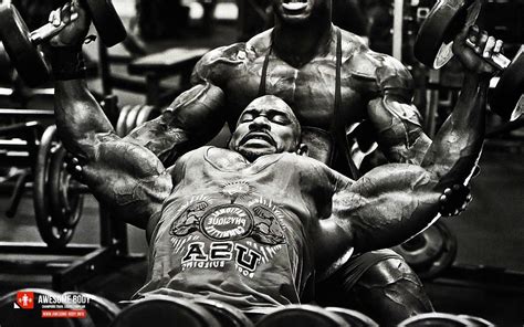 Bodybuilding Gyms