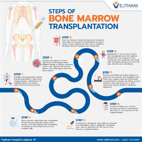 Bone Marrow Future