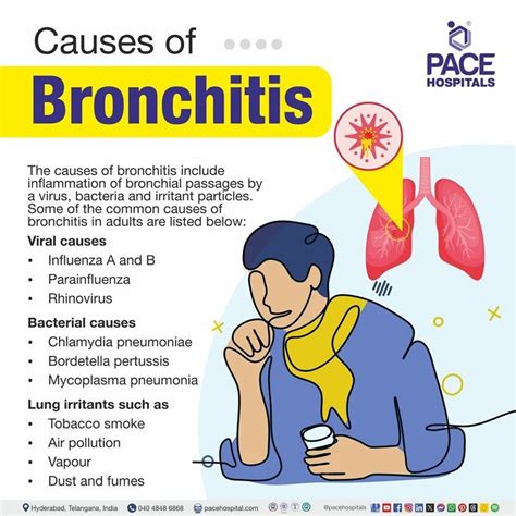Bronchitis Causes