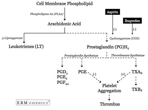 Brufen Mechanism of Action