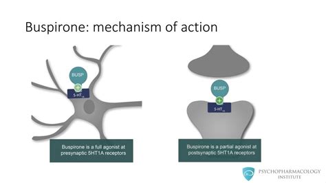 Buspirone Interactions