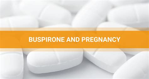 Buspirone Pregnancy