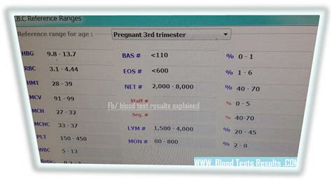CBC Test and Pregnancy