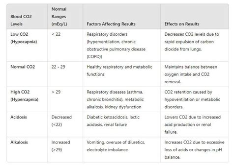 CO2 Blood Test Results Health