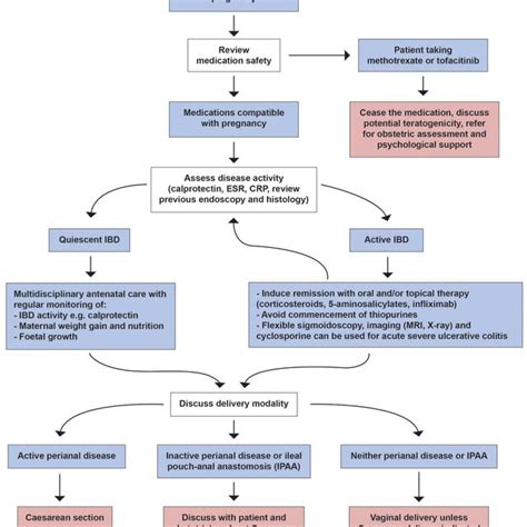 CRP in Pregnancy and Infection