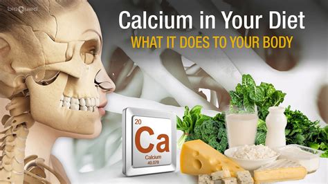 Calcium Bone Health