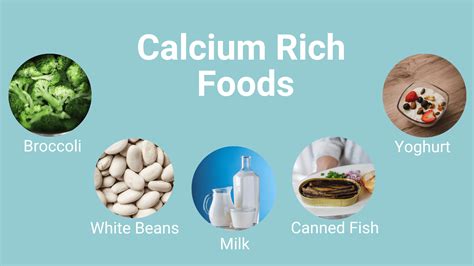 Calcium Rich Dairy Products