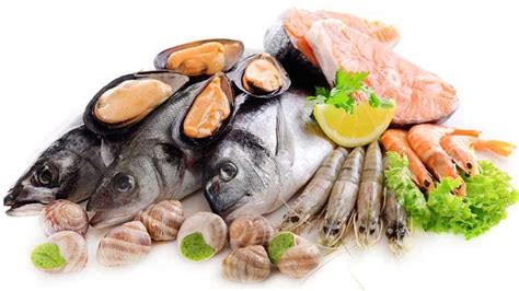 Calcium Rich Fish and Seafood