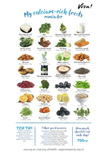 Calcium Rich Foods for Specific Needs