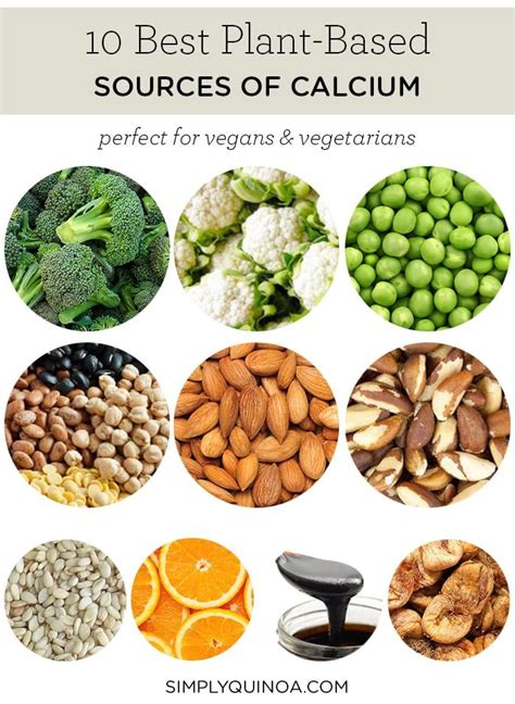 Calcium Sources