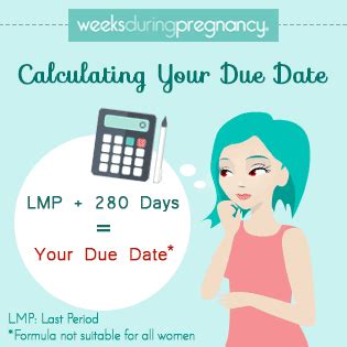Calculating Your Due Date
