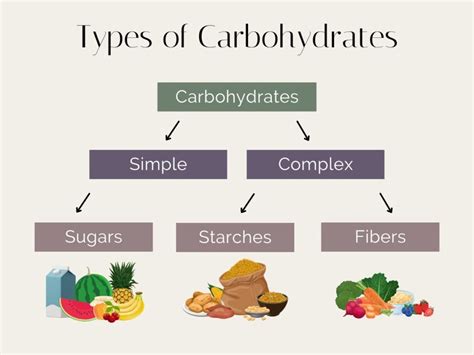 Carbohydrates Types
