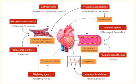 Cardiovascular Side Effects