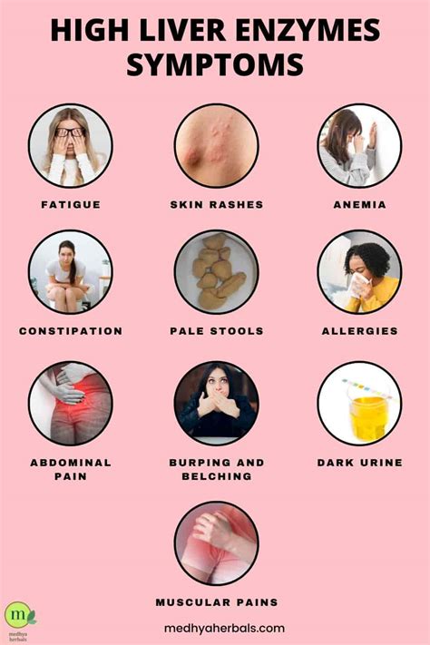 Causes of High ALT