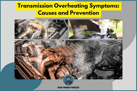 Causes and Transmission
