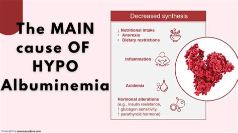 Causes and Consequences of Hypoalbuminemia