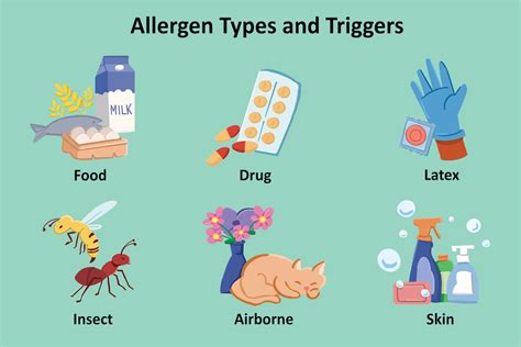 Causes and Triggers of Allergic Reactions