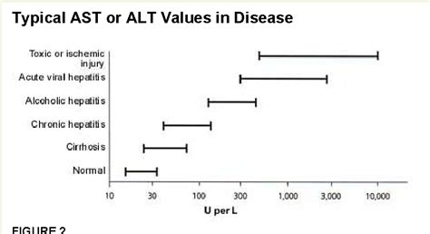 Causes of Elevated AST Levels