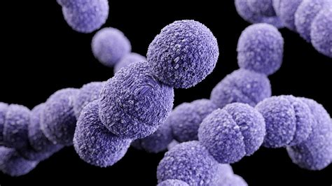 Causes of Group B Streptococcus