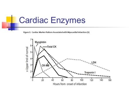 Causes of High Cardiac Enzymes