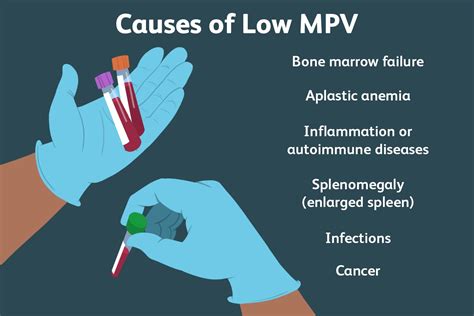 Causes of Low MPV Blood Count