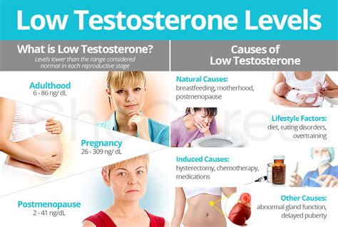Causes of Low Testosterone
