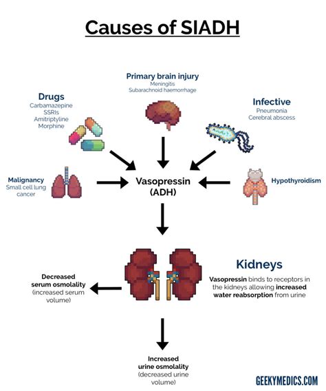 Causes of SIADH