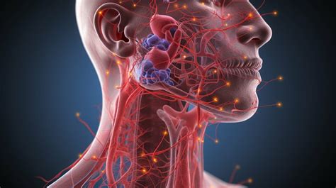 Causes of Swollen Glands Below Jaw