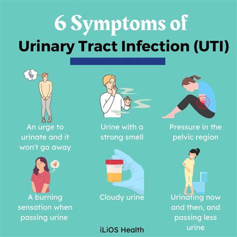 Causes of UTI Symptoms