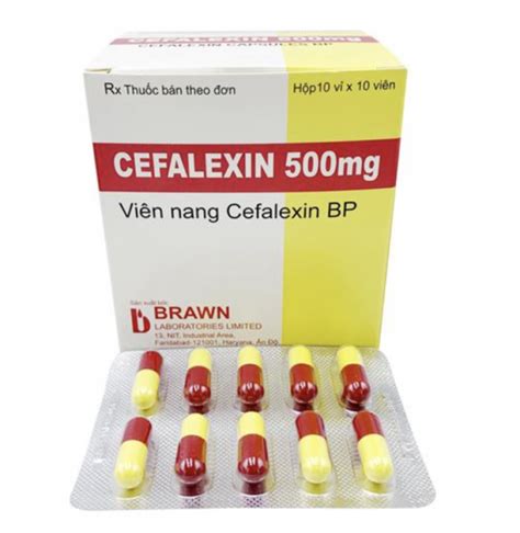 Cefalexin Introduction