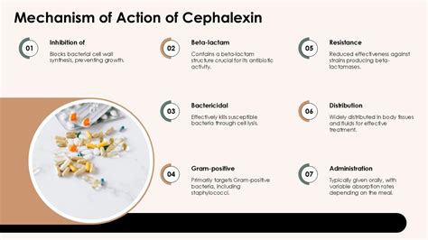 Cefalexin Mechanism