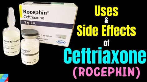 Ceftriaxone Side Effects