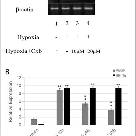 Celecoxib Statistics