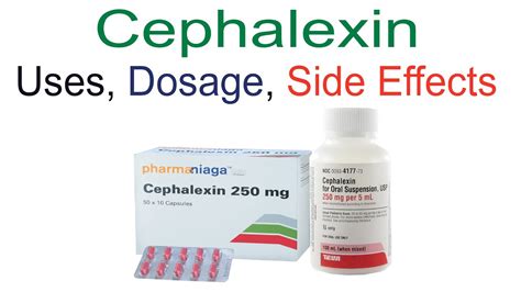 Cephalexin Uses