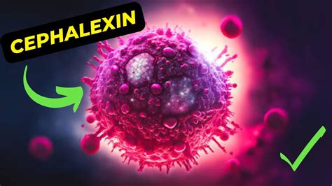 Cephalexin Uses and Benefits
