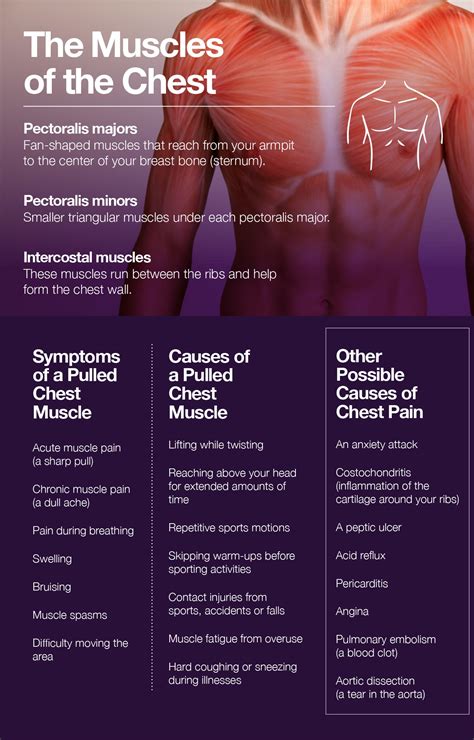 Chest Muscle Pain Next Steps