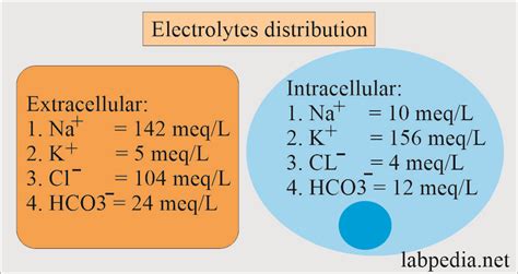 Chloride Concentration In Blood