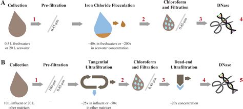 Chloride Environment