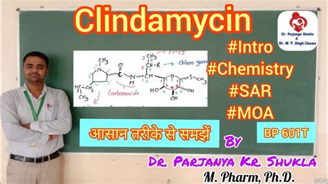 Clindamycin Introduction