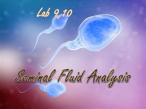 Clinical Significance of Seminal Fluid Analysis