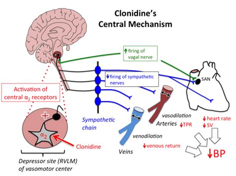 Clonidine Working Mechanism
