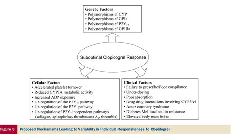 Clopidogrel Future Perspectives